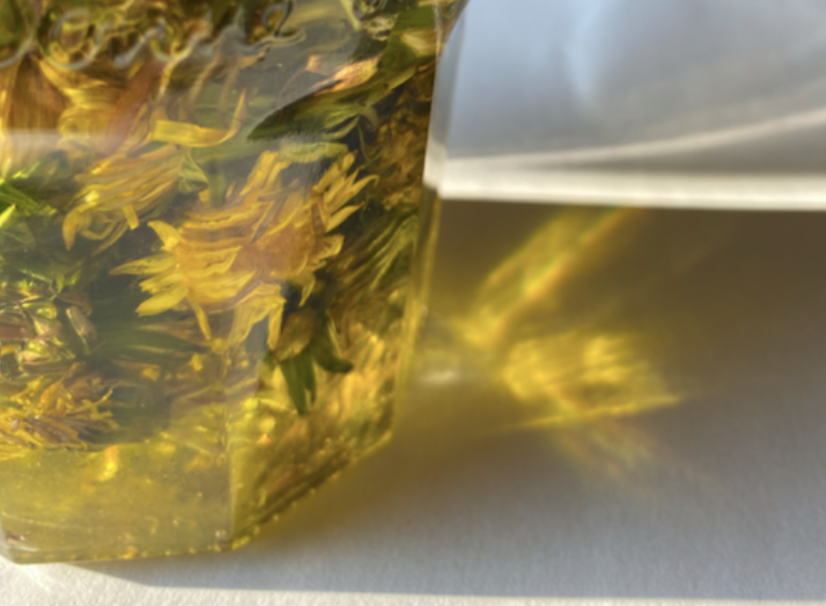 Dandelion Oil